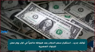 توقف جديد.. استقرار سعر الدولار بعد هبوطه عالمياً في أول يوم عمل للبنوك المصرية